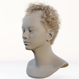 038_hair_b