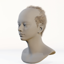 038_hair_c