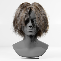 018_hair_a