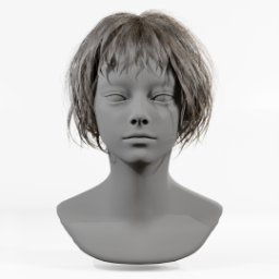 026_hair_a