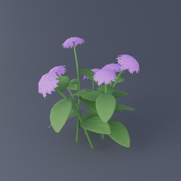 Violet Hydrangea 01