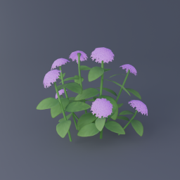 Violet Hydrangea 02
