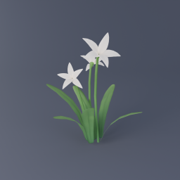White Flower 01