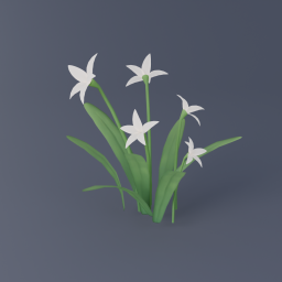 White Flower 02