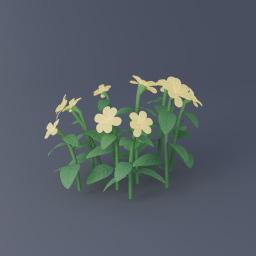 Yellow Flowers 01