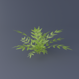 Jasmine Shrub 01