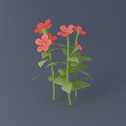 Red Hibiscus 01