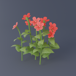 Red Hibiscus 02