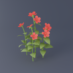 Red Hibiscus 03