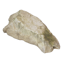 moss rock 03