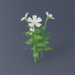 Tahitian Gardenia 01