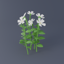 Tahitian Gardenia 02
