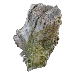 Stump