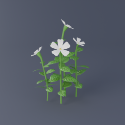 Tahitian Gardenia 03