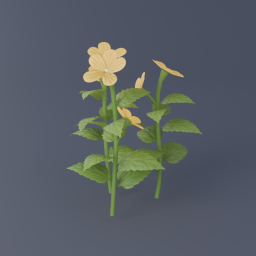 Yellow Hibiscus 01
