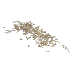 Wooden bicycle