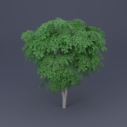 Birch Tree 01 - Green