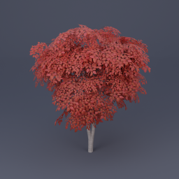 Birch Tree 01 - Red