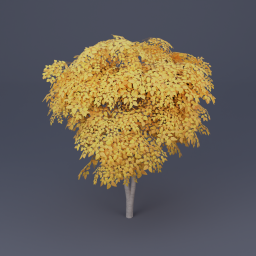 Birch Tree 01 - Yellow