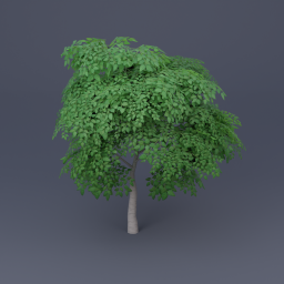 Birch Tree 02 - Green