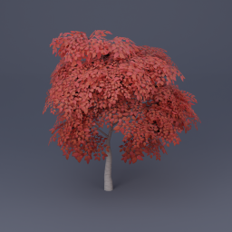 Birch Tree 02 - Red