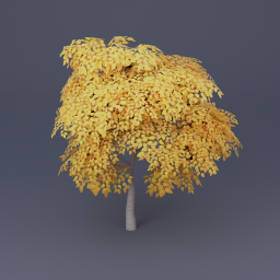 Birch Tree 02 - Yellow