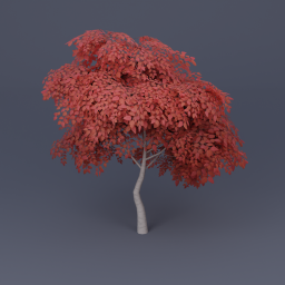 Birch Tree 03 - Red