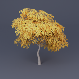 Birch Tree 03 - Yellow