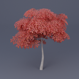 Birch Tree 04 - Red