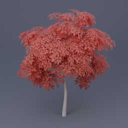 Birch Tree 05 - Red