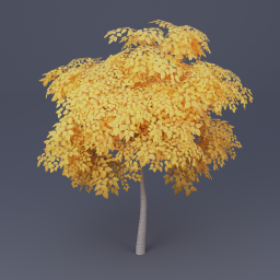 Birch Tree 05 - Yellow