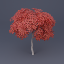 Birch Tree 06 - Red