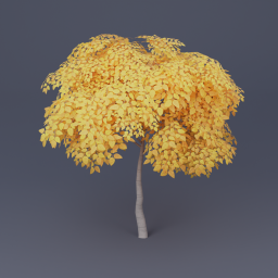 Birch Tree 06 - Yellow