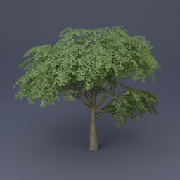 Maple Tree 01 - Green