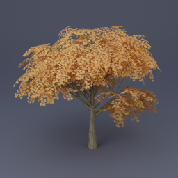 Maple Tree 01 - Orange
