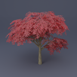 Maple Tree 01 - Red