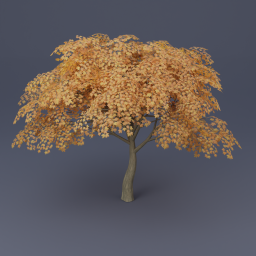 Maple Tree 02 - Orange