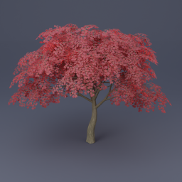 Maple Tree 02 - Red