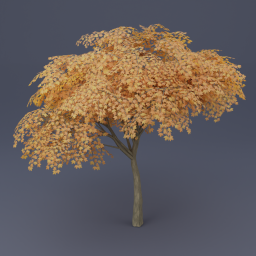 Maple Tree 03 - Orange