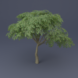 Maple Tree 04 - Green