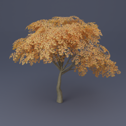 Maple Tree 04 - Orange
