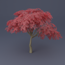 Maple Tree 04 - Red