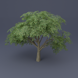 Maple Tree 05 - Green
