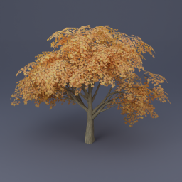 Maple Tree 05 - Orange
