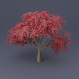 Maple Tree 05 - Red
