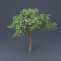 Oak Tree 01 - Green