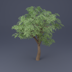 Oak Tree 02 - Green