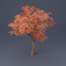Oak Tree 02 - Orange