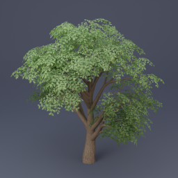 Oak Tree 03 - Green