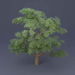 Oak Tree 04 - Green